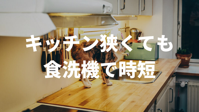 食洗機はキッチン狭くても使うべし アパートに据え置き型を設置して家事を時短
